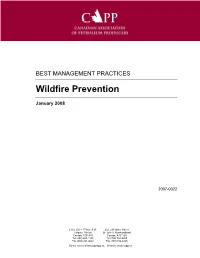 BEST MANAGEMENT PRACTICES Wildfire Prevention