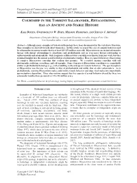 Courtship in the Torrent Salamander, Rhyacotriton, Has an Ancient and Stable History