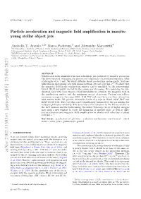 Particle Acceleration and Magnetic Field Amplification in Massive