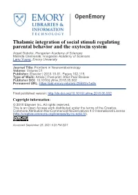Thalamic Integration of Social Stimuli Regulating