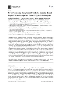 New Promising Targets for Synthetic Omptin-Based Peptide Vaccine Against Gram-Negative Pathogens