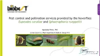 Pest Control and Pollination Services Provided by the Hoverflies