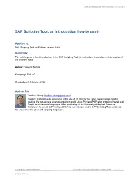 SAP Scripting Tool: an Introduction How to Use It