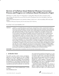 Biomass Conversion Process and Progress on Cellulose-Based Electroactive Paper