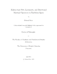 Kakeya-Type Sets, Lacunarity, and Directional Maximal Operators in Euclidean Space
