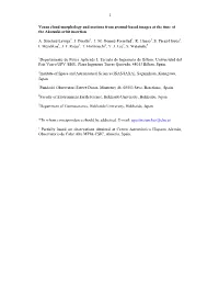 Venus Cloud Morphology and Motions from Ground-Based Images at the Time of the Akatsuki Orbit Insertion