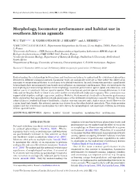 Morphology, Locomotor Performance and Habitat Use In