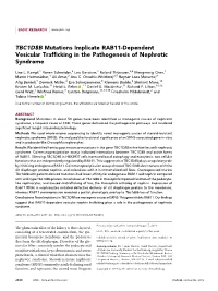 TBC1D8B Mutations Implicate RAB11-Dependent Vesicular Trafﬁcking in the Pathogenesis of Nephrotic Syndrome