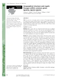 Geographical Structure and Cryptic Lineages Within Common Green