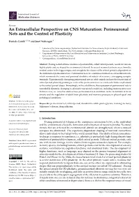 An Extracellular Perspective on CNS Maturation: Perineuronal Nets and the Control of Plasticity