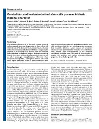Cerebellum- and Forebrain-Derived Stem Cells Possess Intrinsic Regional Character Corinna Klein1, Simon J