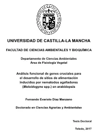University of Castilla-La Mancha Faculty of Environmental Sciences and Biochemistry