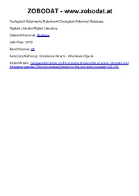 Comparative Study on the Ontomorphogenesis Of