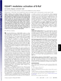 IQGAP1 Modulates Activation of B-Raf