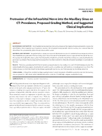 Protrusion of the Infraorbital Nerve Into the Maxillary Sinus on CT: Prevalence, Proposed Grading Method, and Suggested Clinical Implications