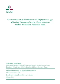 Occurrence and Distribution of Phytophthora Spp. Affecting European Beech (Fagus Sylvatica) Within Söderåsen National Park