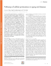 Pathways of Cellular Proteostasis in Aging and Disease