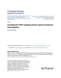 Elucidating the IGFBP2 Signaling Pathway in Glioma Development and Progression