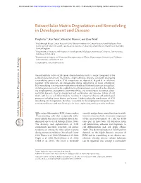 Extracellular Matrix Degradation and Remodeling in Development and Disease