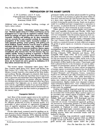 Propagation of the Mamey Sapote