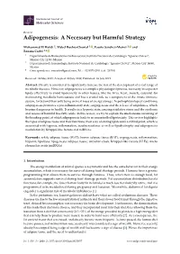 Adipogenesis: a Necessary but Harmful Strategy