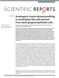 Amelogenic Transcriptome Profiling in Ameloblast-Like Cells Derived From