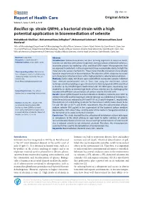 Bacillus Sp. Strain QW90, a Bacterial Strain with a High Potential Application in Bioremediation of Selenite