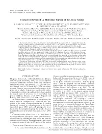 Centaurea Revisited: a Molecular Survey of the Jacea Group