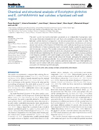 Chemical and Structural Analysis of Eucalyptus Globulus and E