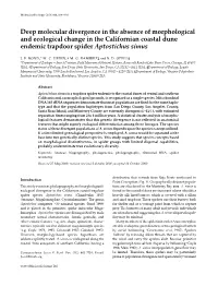 Deep Molecular Divergence in the Absence of Morphological And