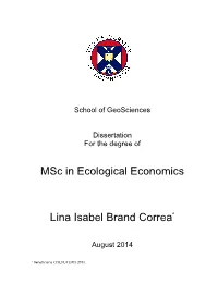 Exergy and Useful Work V.Final