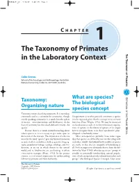 The Taxonomy of Primates in the Laboratory Context