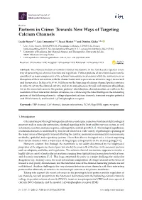 Towards New Ways of Targeting Calcium Channels