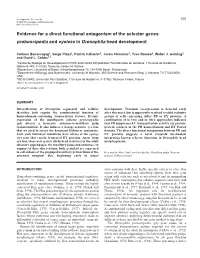 Evidence for a Direct Functional Antagonism of the Selector Genes Proboscipedia and Eyeless in Drosophila Head Development