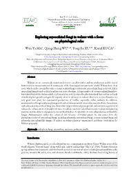 Exploring Mycorrhizal Fungi in Walnut with a Focus on Physiological Roles