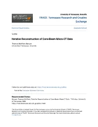 Iterative Reconstruction of Cone-Beam Micro-CT Data