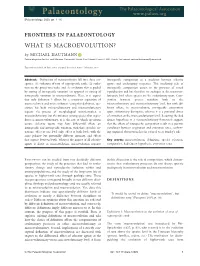 What Is Macroevolution?