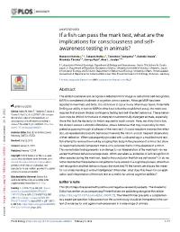 If a Fish Can Pass the Mark Test, What Are the Implications For