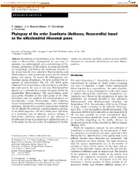 Phylogeny of the Order Zoantharia (Anthozoa, Hexacorallia) Based on the Mitochondrial Ribosomal Genes