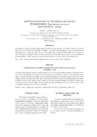 NESTING BEHAVIOR of the SWALLOW-TAILED HUMMINGBIRD, Eupetomena Macroura (TROCHILIDAE, AVES)