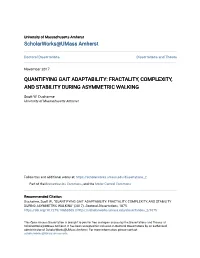 Quantifying Gait Adaptability: Fractality, Complexity, and Stability During Asymmetric Walking