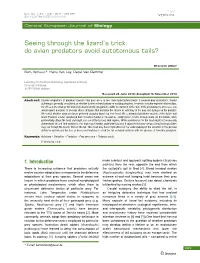 Do Avian Predators Avoid Autotomous Tails?