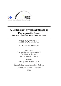 A Complex Network Approach to Phylogenetic Trees: from Genes to the Tree of Life