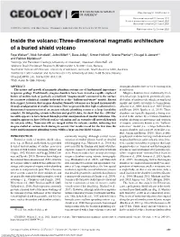 Three-Dimensional Magmatic Architecture of a Buried Shield Volcano