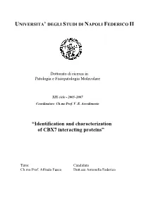 “Identification and Characterization of CBX7 Interacting Proteins”
