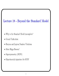 Lecture 18 - Beyond the Standard Model