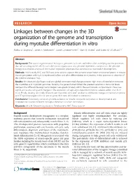 Linkages Between Changes in the 3D Organization of the Genome and Transcription During Myotube Differentiation in Vitro Malina D