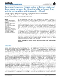 Reciprocal Dependence Between the Thioredoxin-Like Activity of Dnaj and the Polypeptide-Unfolding Activity of Dnak