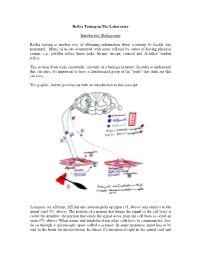 Reflex Testing in the Laboratory