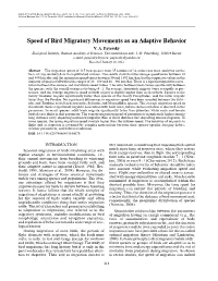 Speed of Bird Migratory Movements As an Adaptive Behavior V